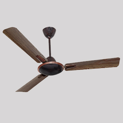 Semi Decorative Fan