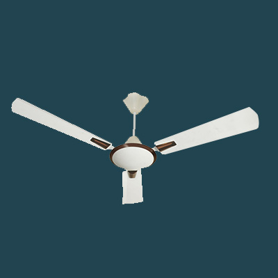 Flora Fan Manufacturer in India